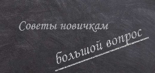 Сайт большой вопрос. Советы новичкам