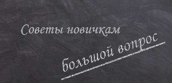 Сайт большой вопрос. Советы новичкам