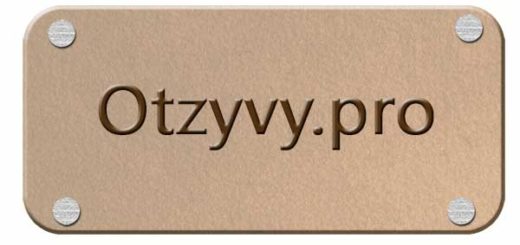 Заработок на Otzyvy.pro