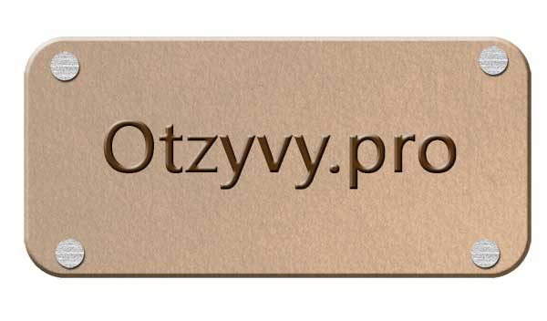 Заработок на Otzyvy.pro